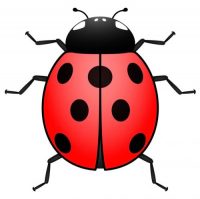 © Can Stock Photo / erierika